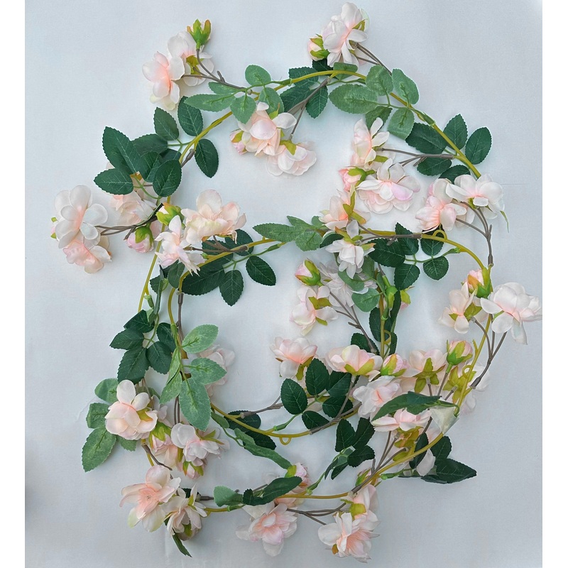 Peach Rose vines for wedding