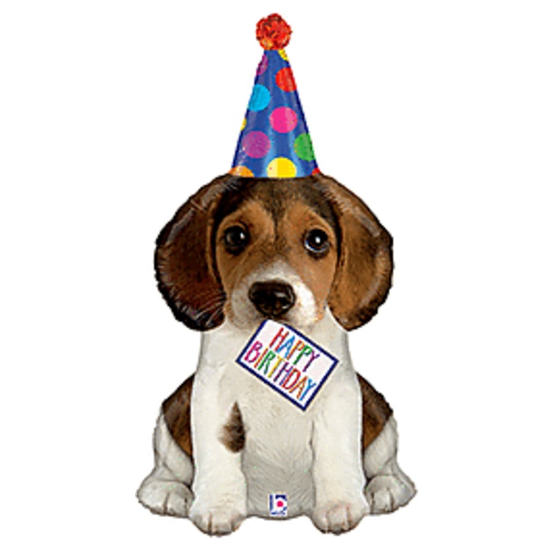 Birthday Puppy - 41"