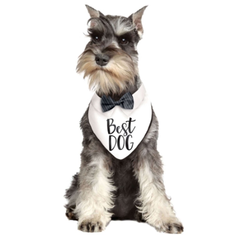 Wedding Best Dog Bandana 29cm x 36cm Each