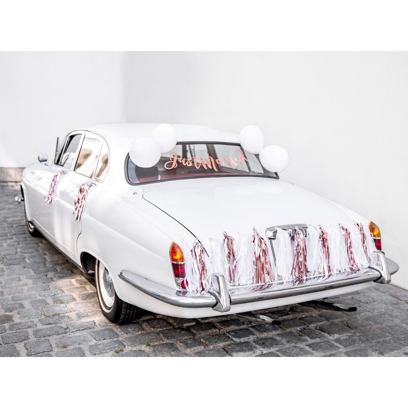 Just Married Wedding Car Decoration Kit