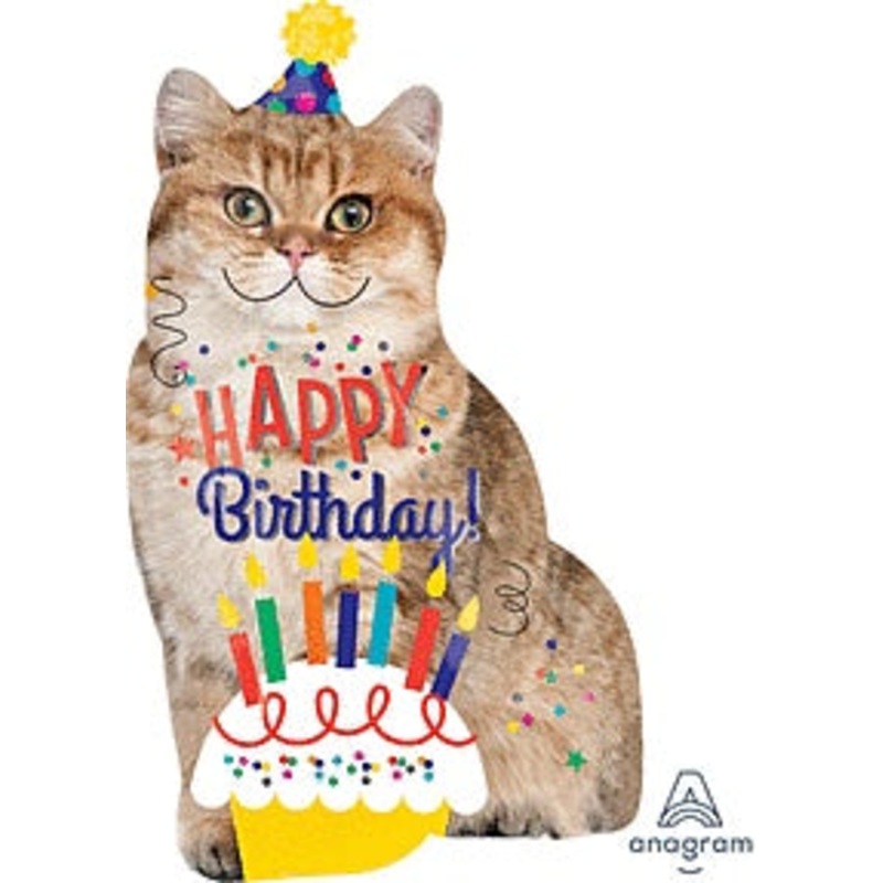 Birthday Cat