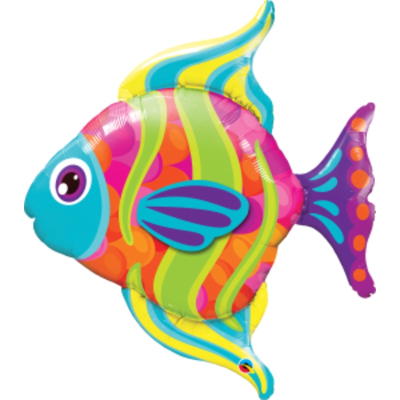 Fashionable Fish (D)