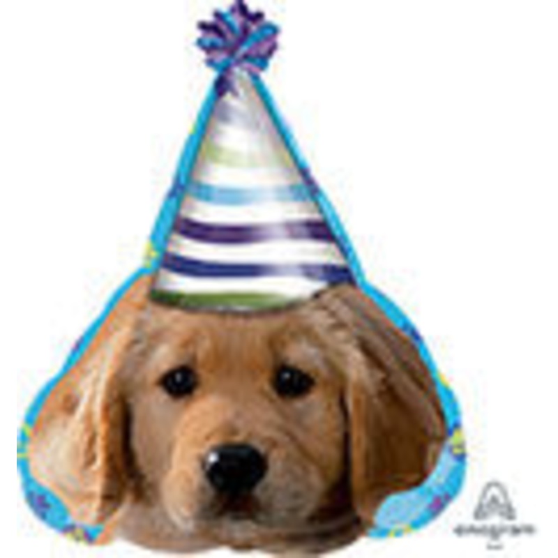 Party Hat Puppy (D)
