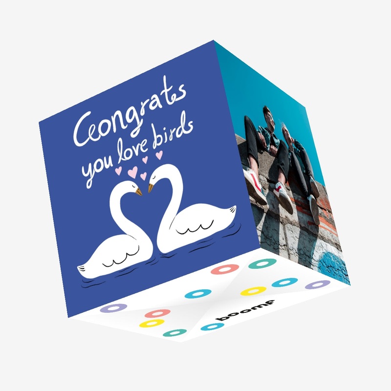 Congrats You Love Birds Swan Wedding/Engagement Confetti-exploding Greetings Card