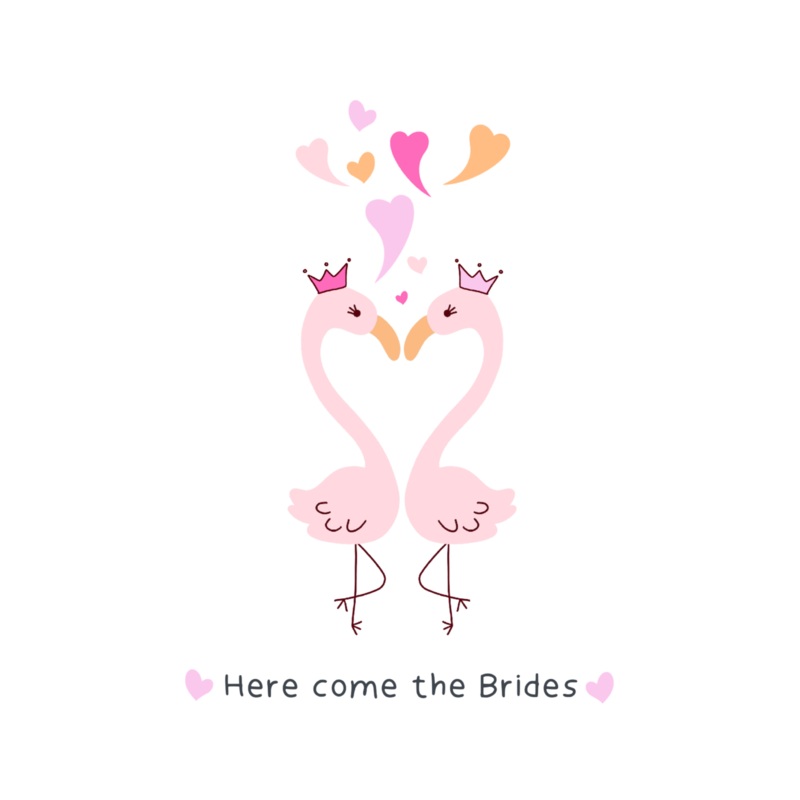 Here Come The Brides Cute Flamingo Couple Wedding Card