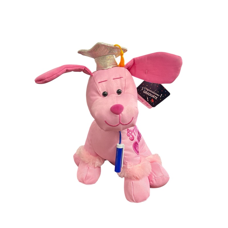 13" Congratulations Graduate! Princess Dog Plush 1ct