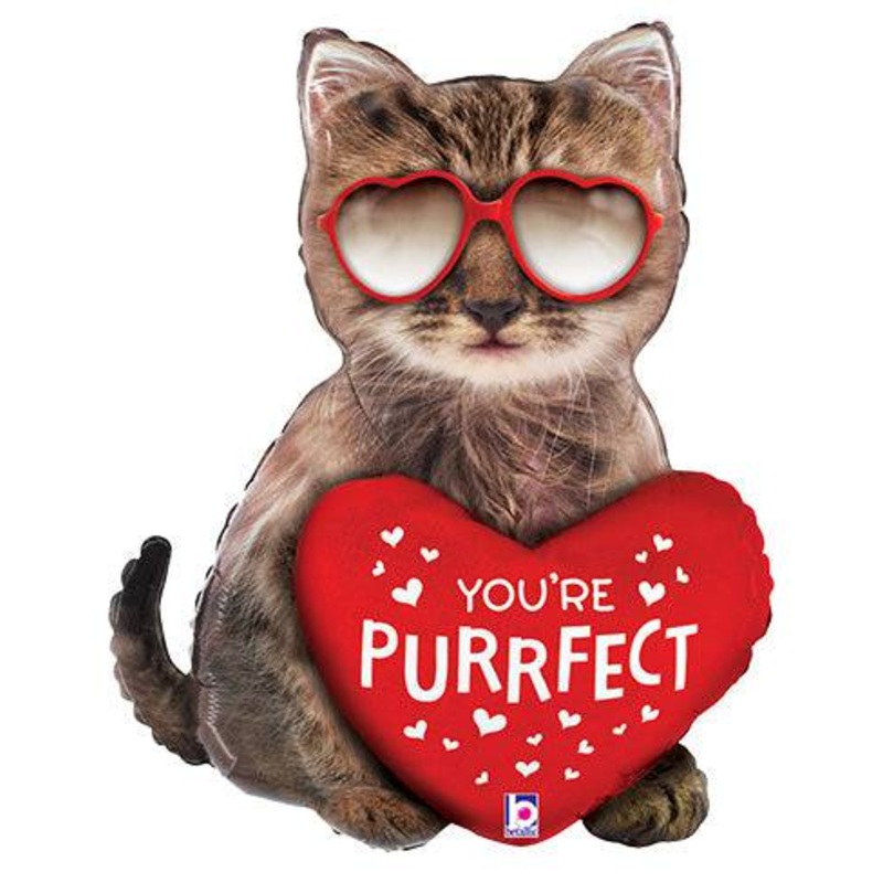 26" Purrfect Cat