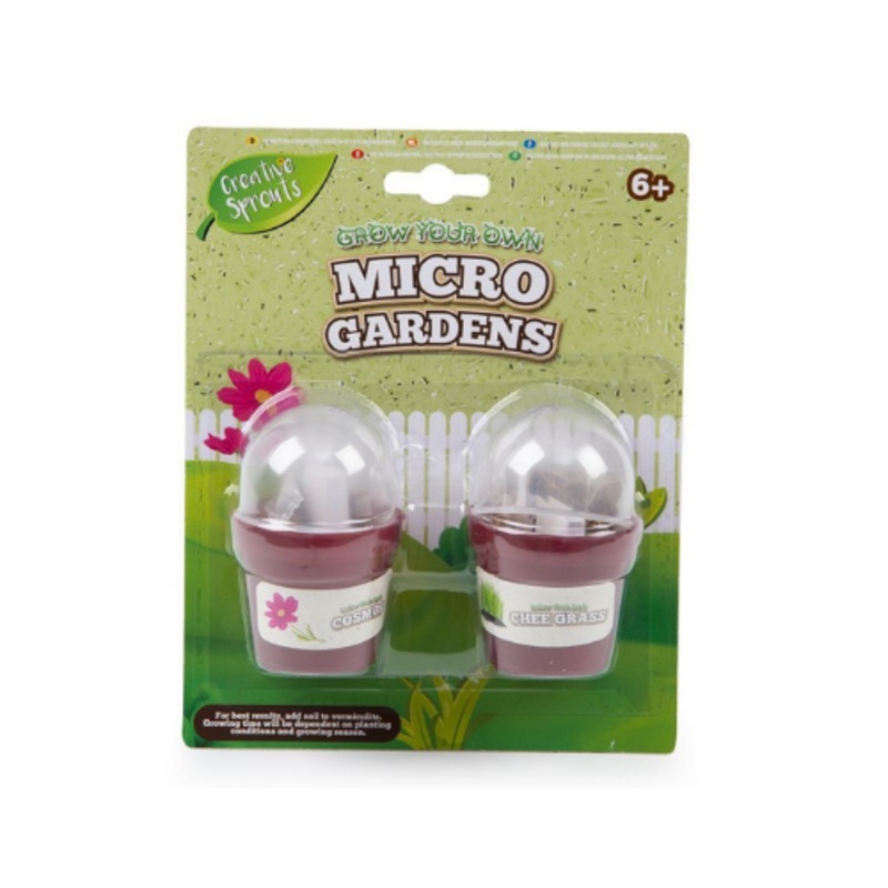 Wholesale Creative Sprout Micro Garden - (Case of 12)