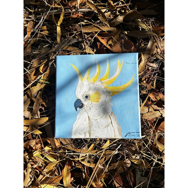 Hand Painted Cockatoo on Canvas - Teresa Hope