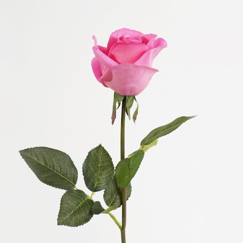 PIXIE ROSE LONG STEM - HOT PINK