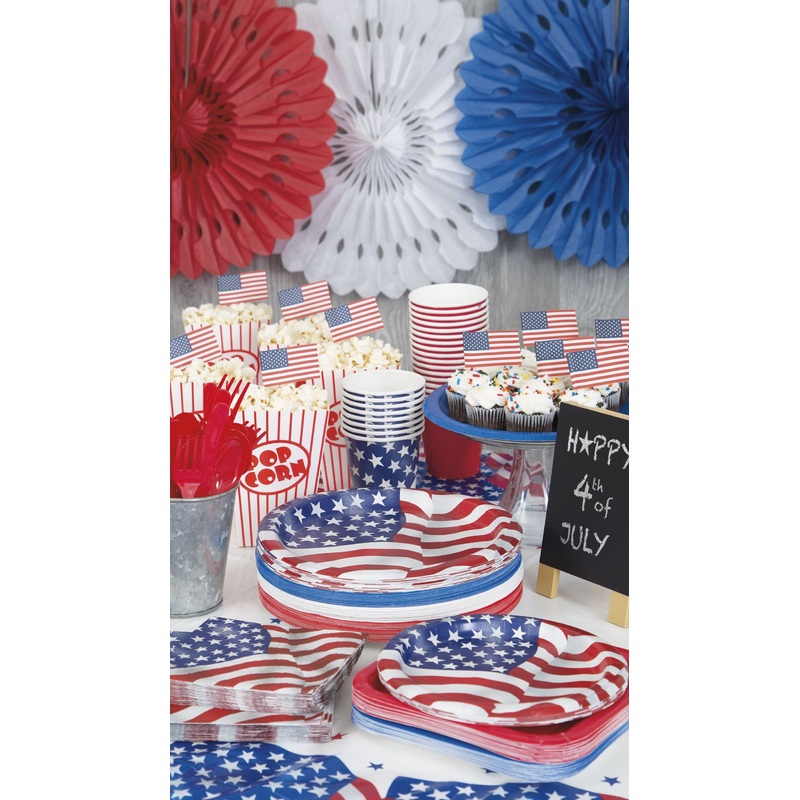 USA Flag Patriotic 4th of July Party Supplies Pack | USA Flag Plates | USA Flag Napkins | Patriotic Plates | Patriotic Napkins