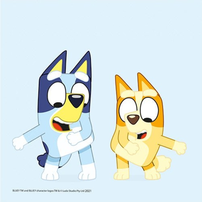 Bluey Themed   Napkins (16)