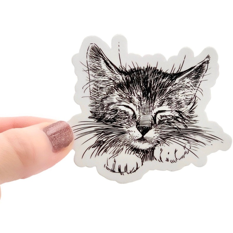 Cat Sticker for Water Bottles