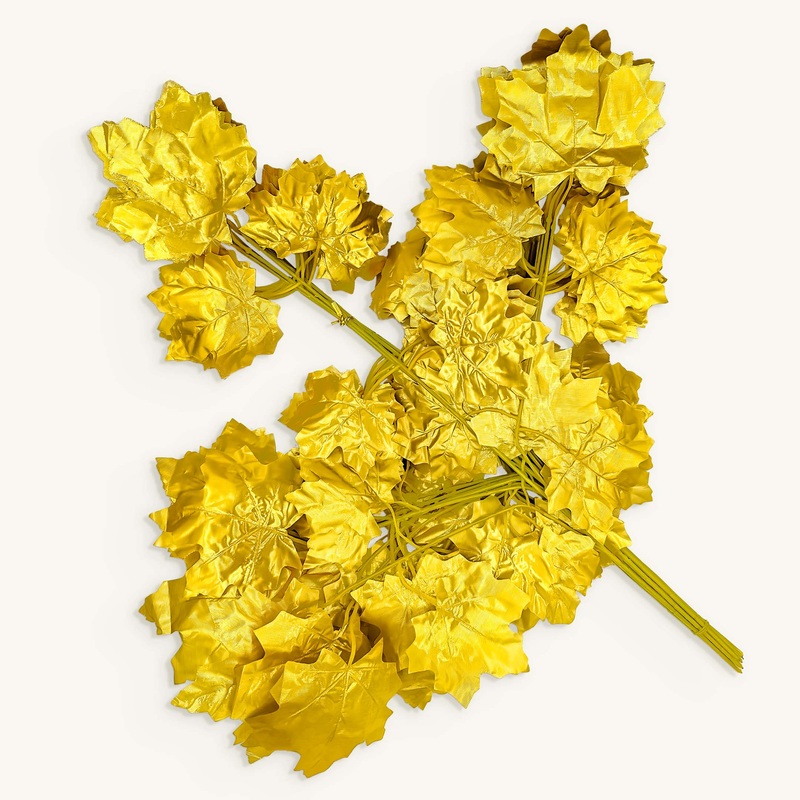 Golden Maple Leaves Plants For Hanging