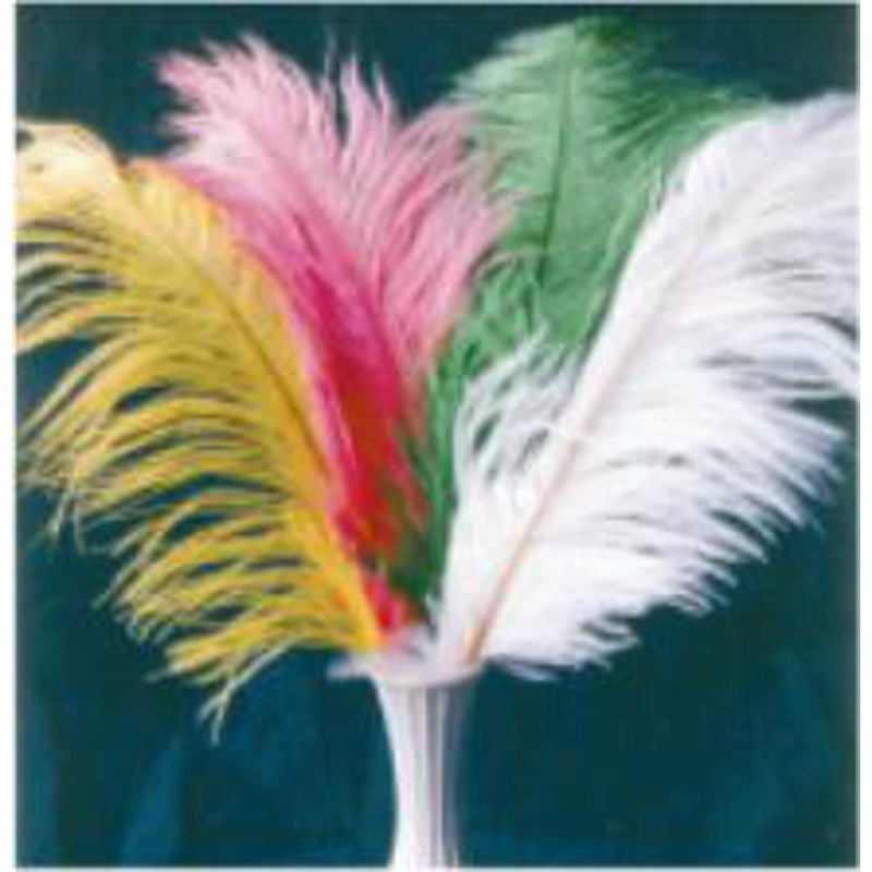 "Plumes Small Pink  The Perfect Statement Piece"