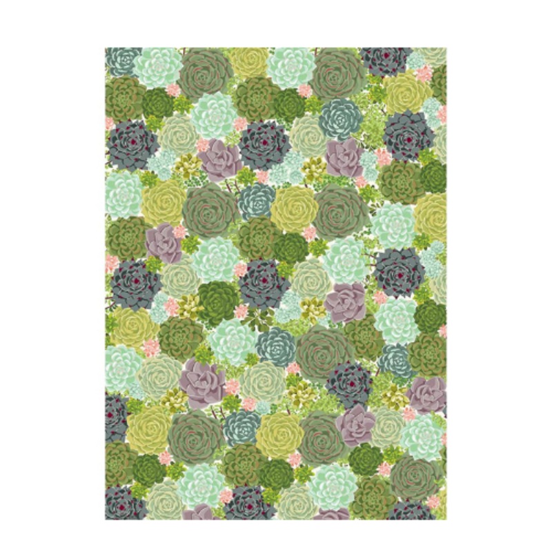 Succulent Wrapping Sheet
