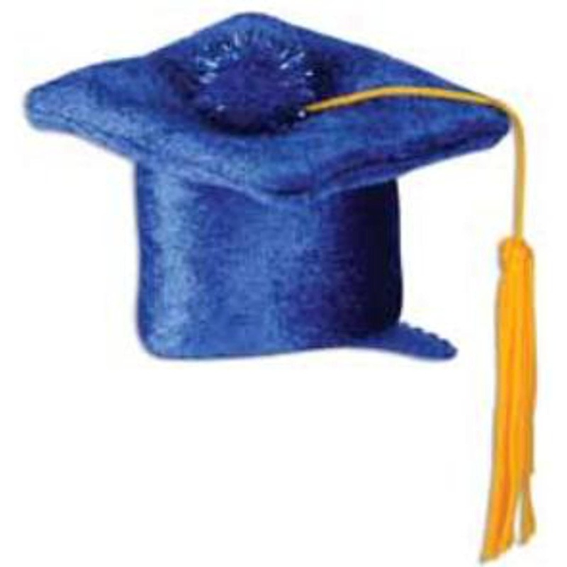 Blue Grad Cap Hair Clip Fun and Festive Accessory for Graduates (3/Pk)