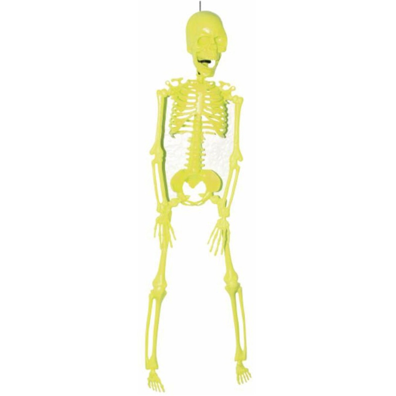 Colorful Neon Skeleton