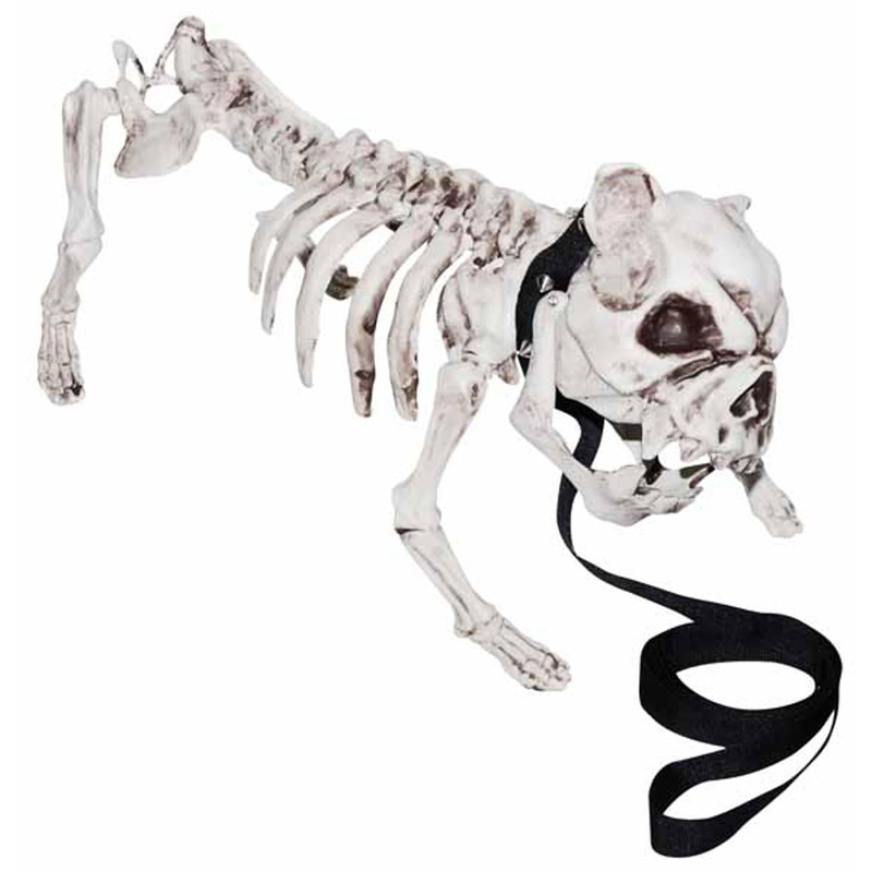Spooky Skeleton Dog