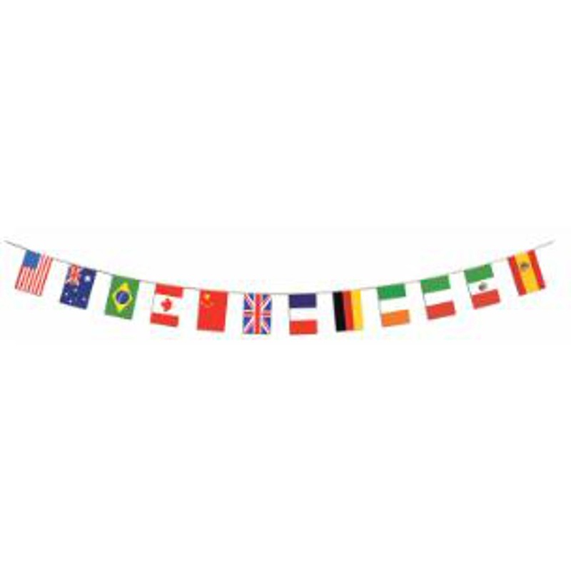 "All Weather International Flag - 12"X14'6""