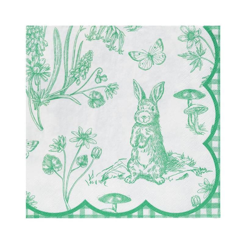 Pierre Rabbit Easter Paper Napkins 20pk.
