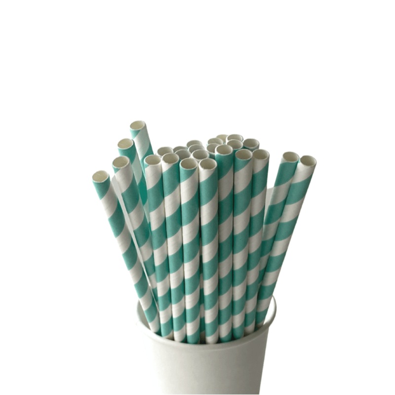 Aqua Eco Friendly Paper Straws