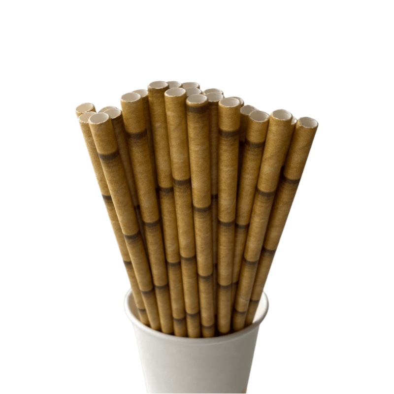 Golden Bamboo Pattern Eco Friendly Paper Straws
