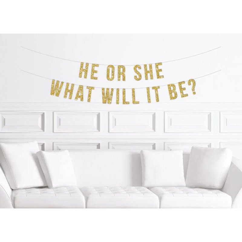 He or She What Will It Be? Gender Reveal Banner