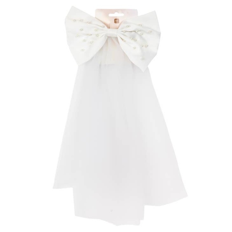Bachelorette Party Veil